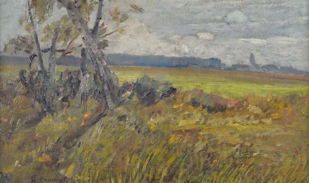 Campi verdi